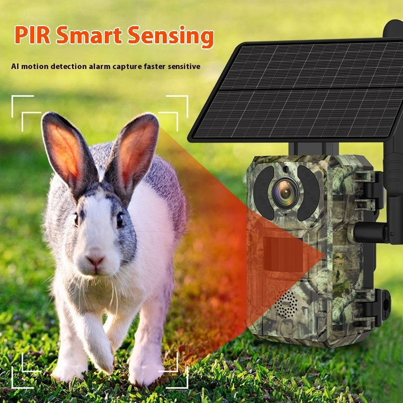 Outdoor Solar Camera Forest Protection HD Infrared